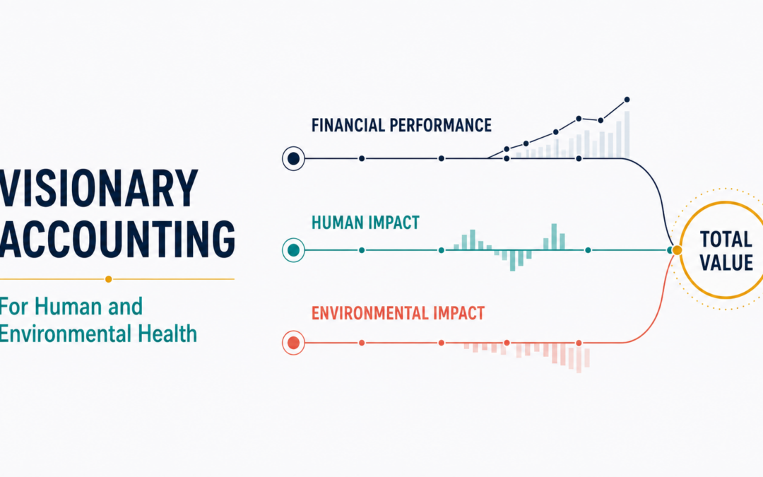 Visionary Accounting